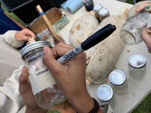 Labeling water sample jars. Image by Chase.