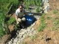Fig 2h: Placing rocks around tank #3 to cover the pond liner.