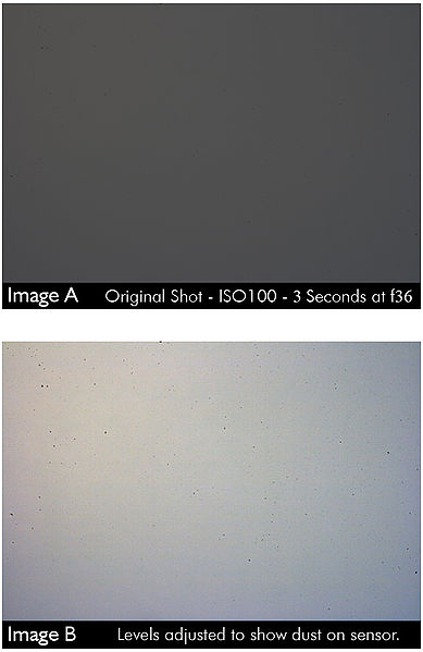 File:Dust on sensor.jpg