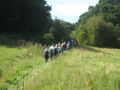 Herd of ramblers on a footpath to Whitley - geograph.org.uk.jpg