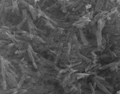 Vanadium oxide nanobelts SEM image