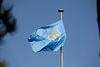 World Health Organization Flag.jpg