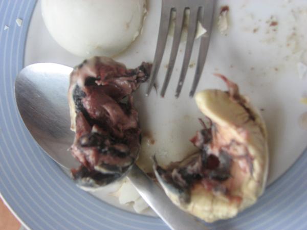 File:The remains of a fuck fetus after a nibble.jpg