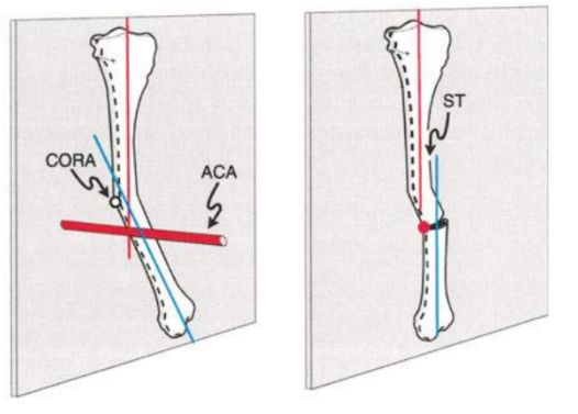 Fig. 8f