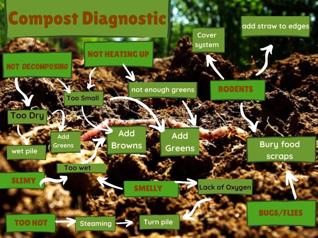 Compost flow chart to help solve composting issues