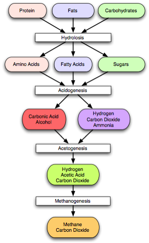 Methanogenesis.png