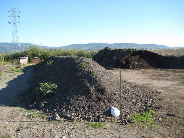 File:Woodland Schultze compost-pile-web,jpg.jpg