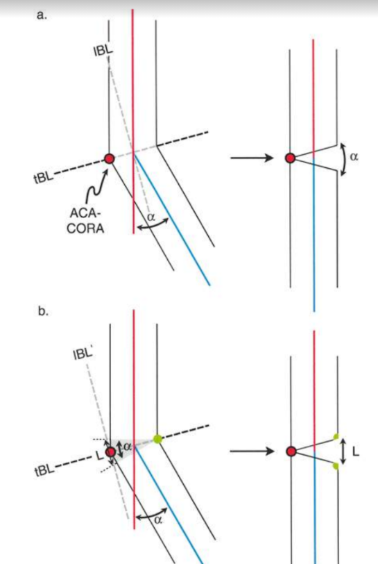 Fig. 8g