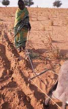 PA Darfur plough.JPG