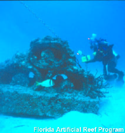 File:Coral module image 3.jpg