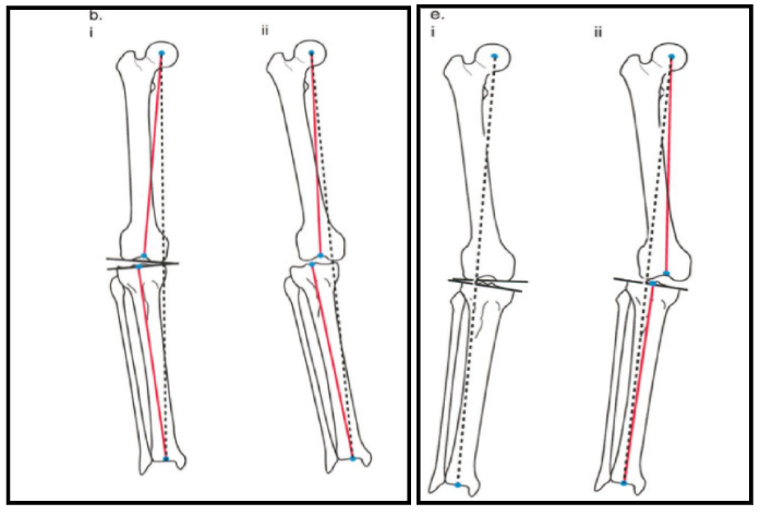 Fig. 7c