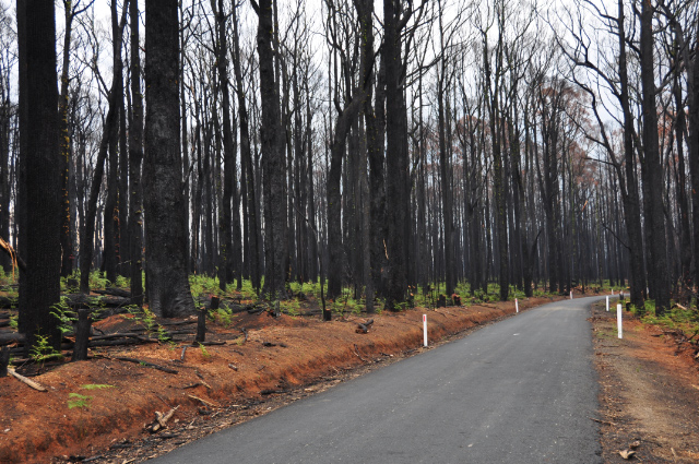File:2009 Victorian bushfire Acheron Way DSC 0331.jpg
