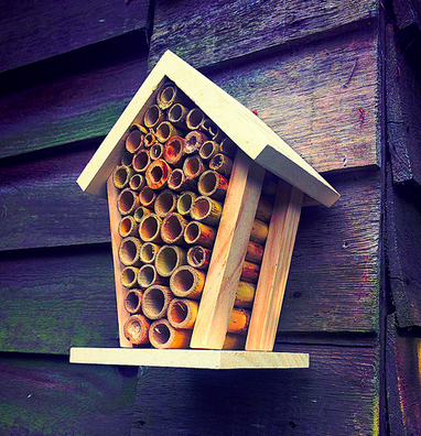 File:Beehouse.png