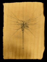 File:Dragonfly black 200.jpg