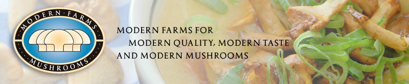 File:Modern Mushroom logo.jpg