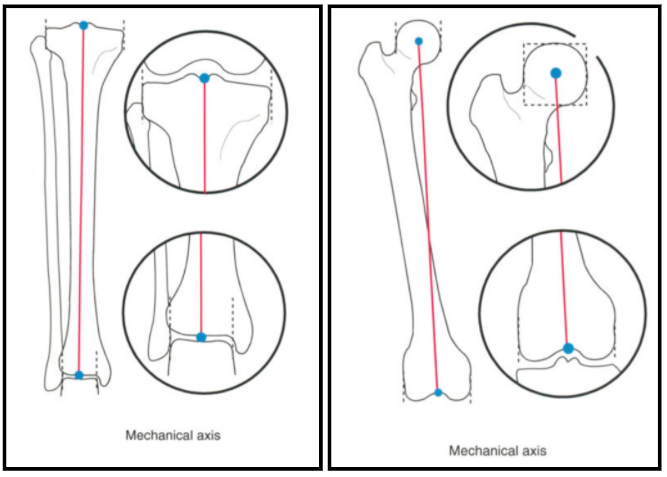 Fig. 3a