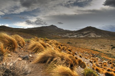 File:Patagonian Grasslands.jpg