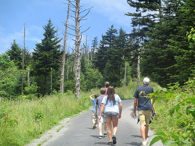 File:Hikers heading up Clingmans Dome IMG 4932.JPG