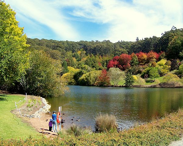 File:Mt Lofty Botanic Garden Lake.jpg