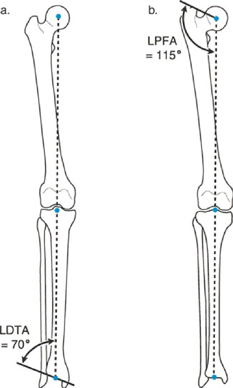 Fig. 7d