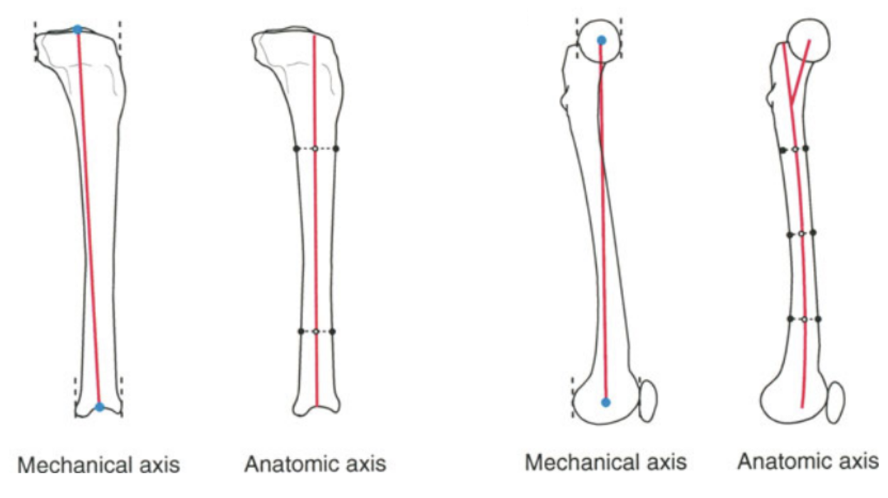 Fig. 3b