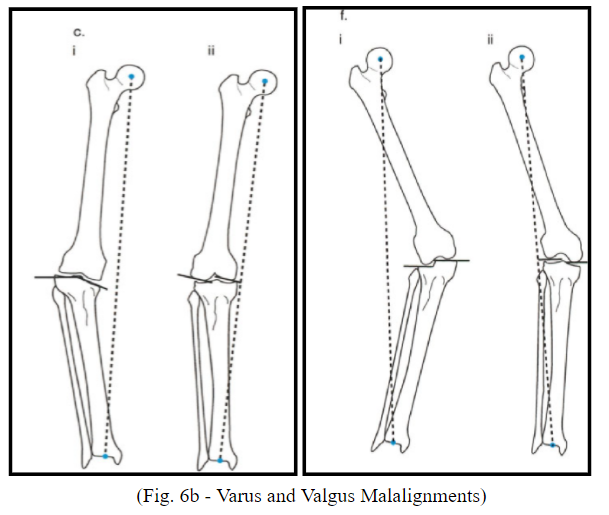 Fig. 6b