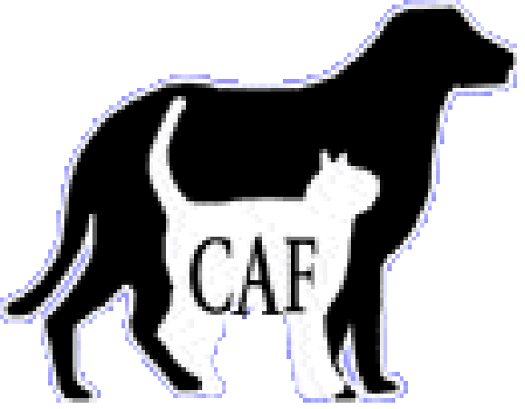 File:CAF logo.gif