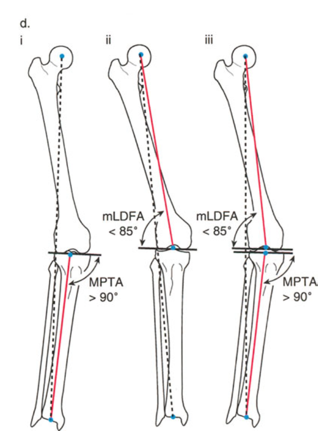 Fig. 7b