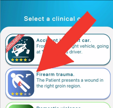 File:Crashsavers App - Second case Selection cropped.png