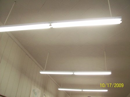 File:Fluorescent bulbs.jpg