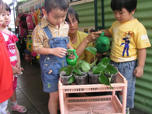 File:Mengajar anak mencintai tanaman.jpg