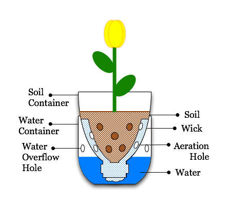Illustration-pop-bottle-sub-irrigated planter.png