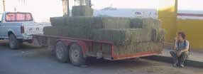 Parras alfalfa trailer.jpg