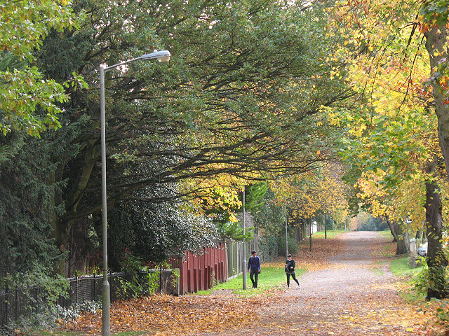 File:Autumn colours on Putney Park Lane - geograph.org.uk.jpg