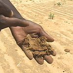 File:Niger Farm sand.jpg