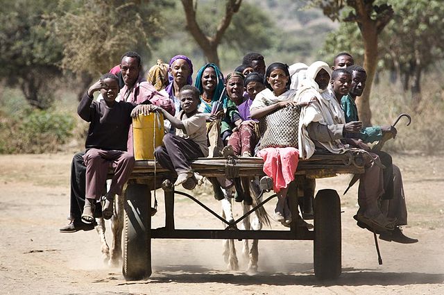 File:Ethiopian cart.jpg