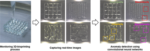 File:Zeqing Jin 2021 Monitoring Anomalies in 3D Bioprinting with Deep Neural Networks.gif