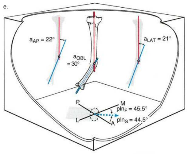 Fig. 10a