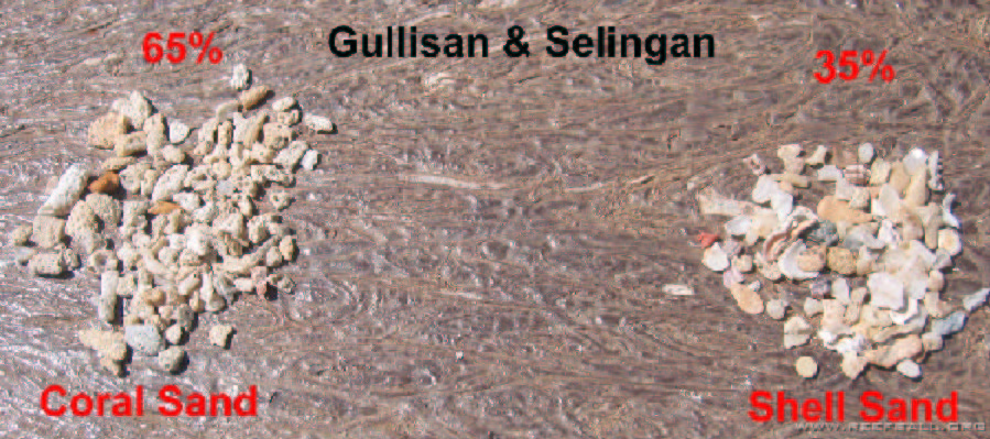 File:Repairing damaged reefs terminology image 38.jpg
