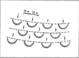 SudanWaterHarvesting6.jpg