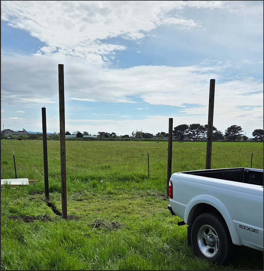File:Four Beams of Rain Structure.png