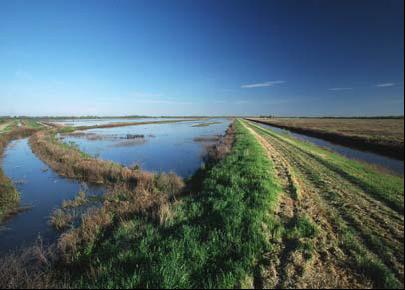 File:Wetlands restored for flood mgmt.JPG