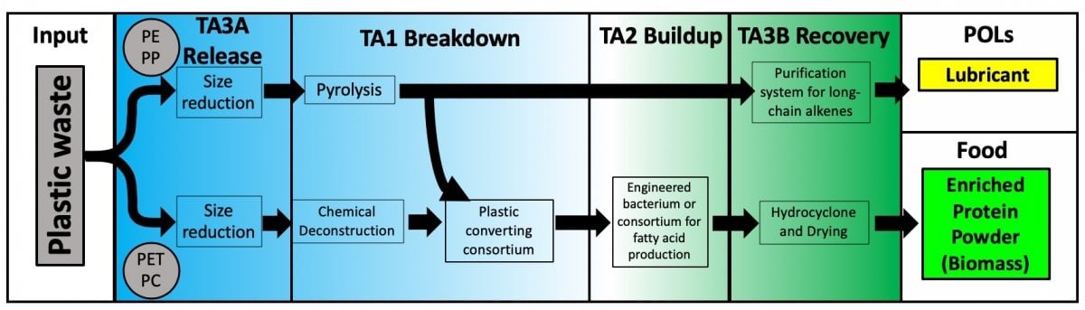 The process of taking plastic waste and converting it into protein powder and lubricant. Image Credit: Steve Techtmann/Michigan Tech