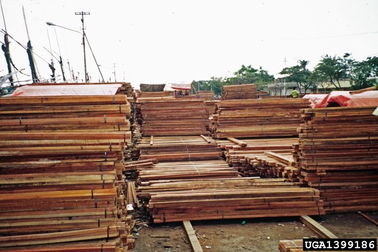 File:Lumber.jpg