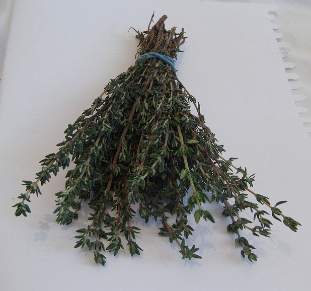 File:Bunchthyme.png