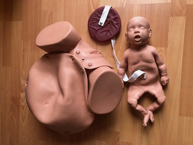 File:FCEMT baby and placenta.jpg