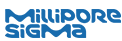 Logo-ms.png