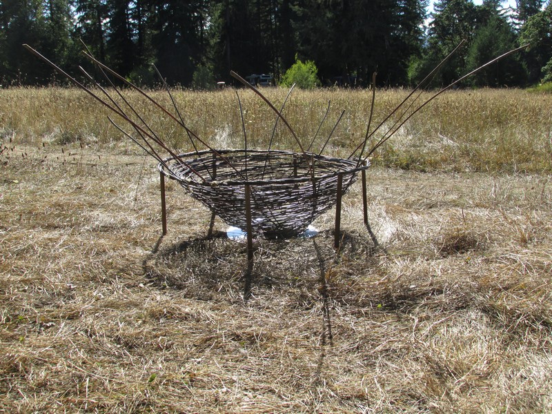 File:Weaving Parabolic Willow Basket - 4 ft Diameter Hoop.jpeg