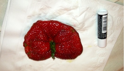 File:GiantStrawberry.JPG
