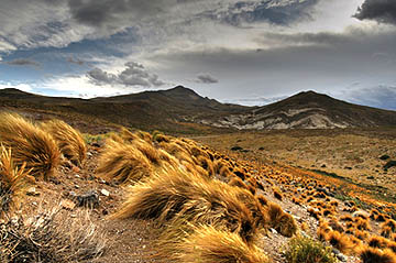 File:Patagonia Grasslands.jpg